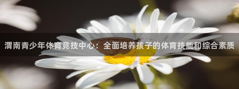 MK体育官网下载联系电话：渭南青少年体育竞技中心：全