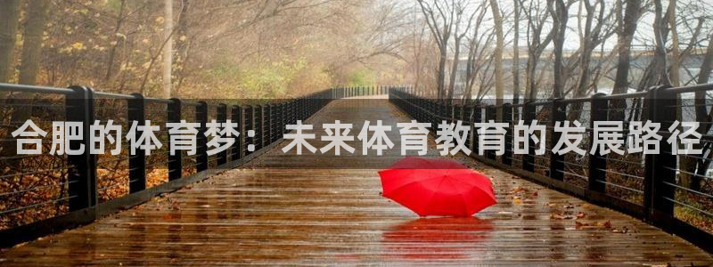 MK体育官网下载招商电话：合肥的体育梦：未来体育教育的发展路