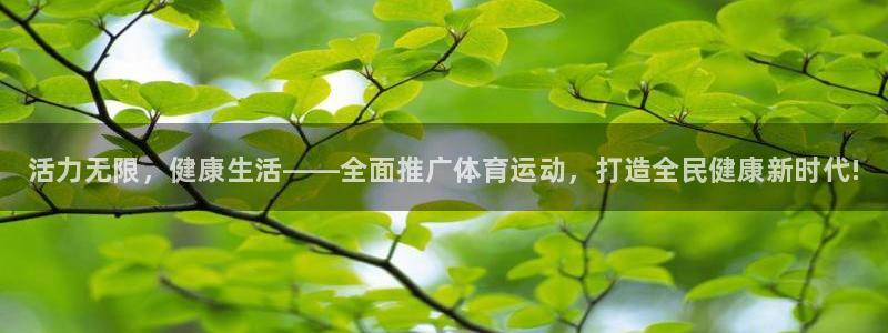 MK体育官网下载平台注册流程视频：活力无限，健康生活——全面