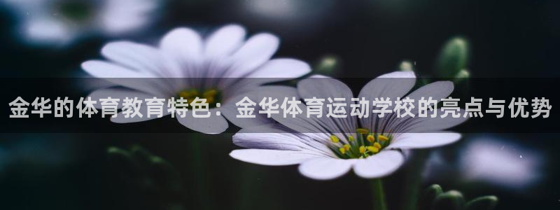 MK体育官方正版app集团：金华的体育教育特色：金华体育运动
