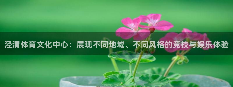 MK体育官方正版app集团官网首页：泾渭体育文化中心：展现不