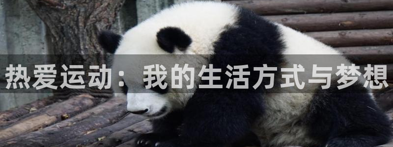MK体育官方正版app代理：热爱运动：我的生活方式与