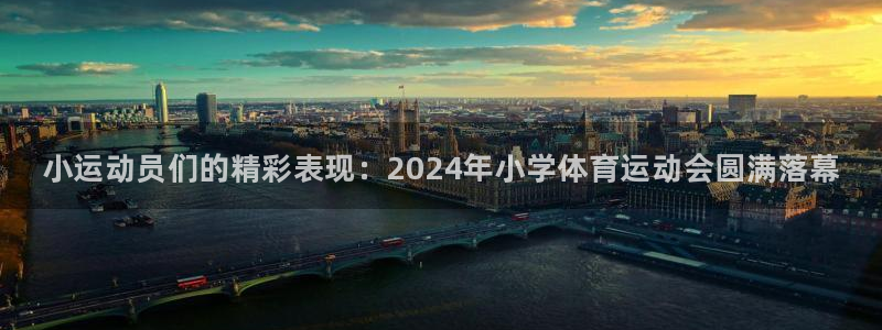 海南MK体育官网下载：小运动员们的精彩表现：2024