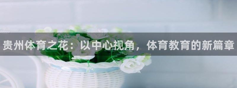 MK体育官方正版app集团官网首页：贵州体育之花：以中心视角