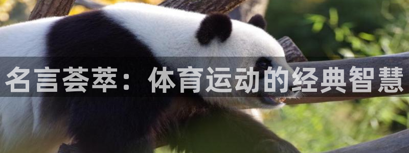 MK体育官网下载招商电话号码是多少号：名言荟萃：体育