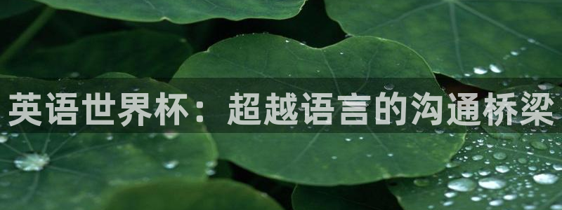 MK体育官网下载娱乐：英语世界杯：超越语言的沟通桥梁