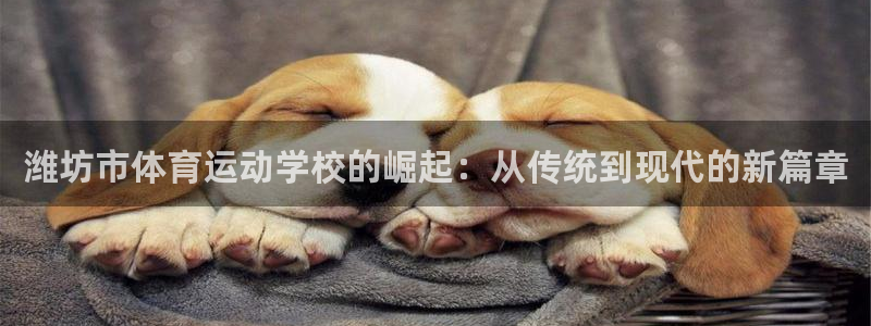 MK体育官网下载官方客服电话：潍坊市体育运动学校的崛