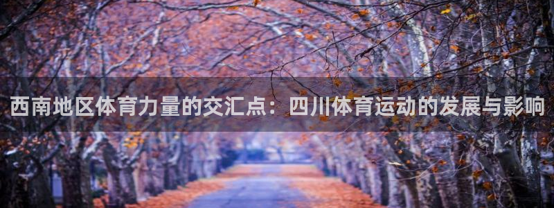 MK体育官方正版app集团官网网址：西南地区体育力量的交汇点