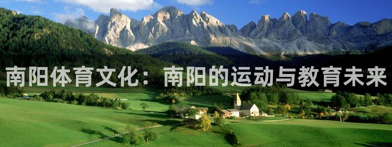 MK体育官方正版app集团简介